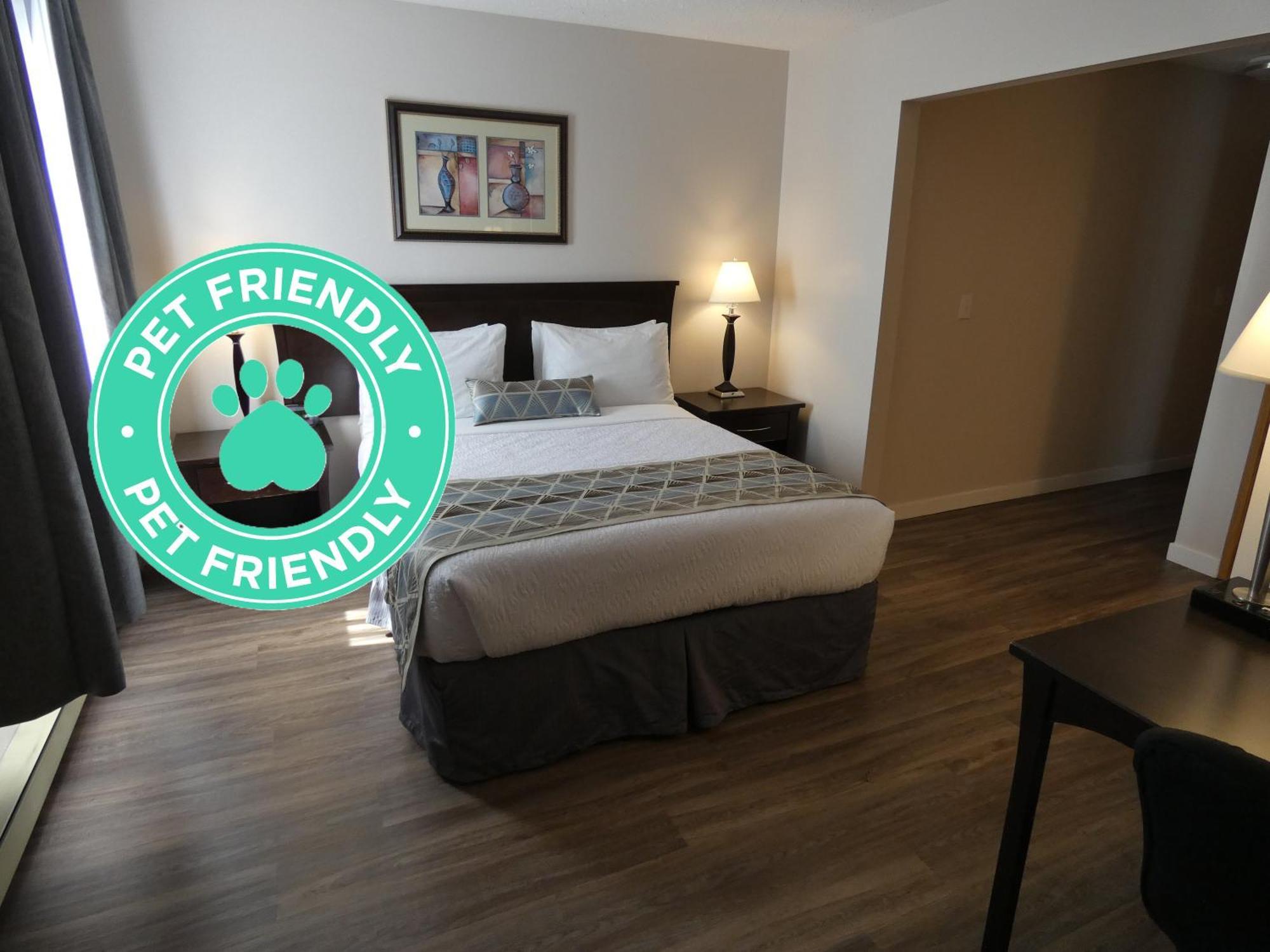 Standard Queen Room Pet Friendly,1676737484:JPEG