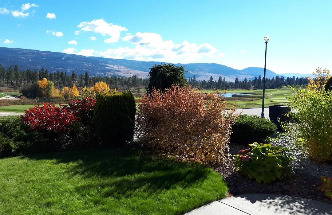Quail Ridge-1